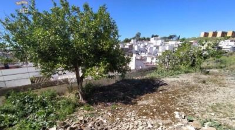 Cádiz - Arcos de la Frontera - 803m2