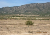 Parcel·la urbanitzable en venda a la España, Novelda, ref.: TR306102 foto