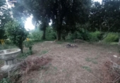 Urban land for sale on España, Caldes de Montbui, ref: TR181357 photo