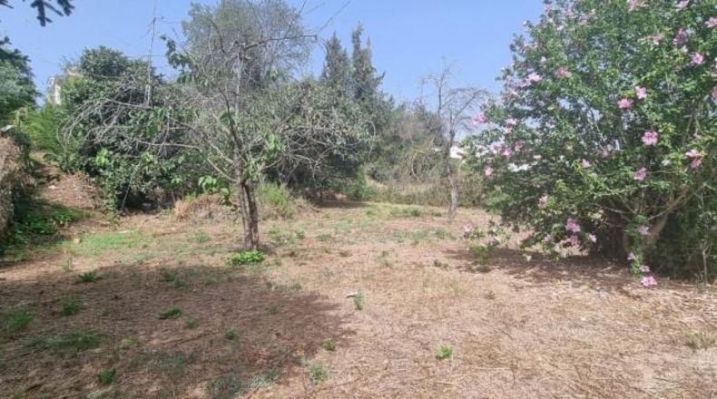 Barcelona - Caldes de Montbui - 615m2