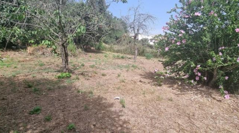 Barcelona - Caldes de Montbui - 615m2
