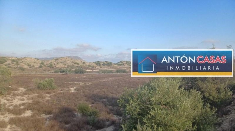 Alicante - Monforte del Cid - 21477m2