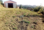 Finca rústica en venda a la España, Pol, ref.: TR304859 foto