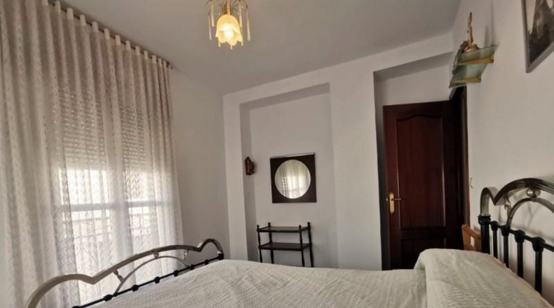 Córdoba - Baena - 755m2