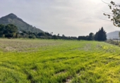 Отдельно стоящий дом с участком на продажу в городе Alcúdia Фото