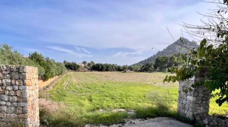 Islas Baleares - Alcudia - 12951m2