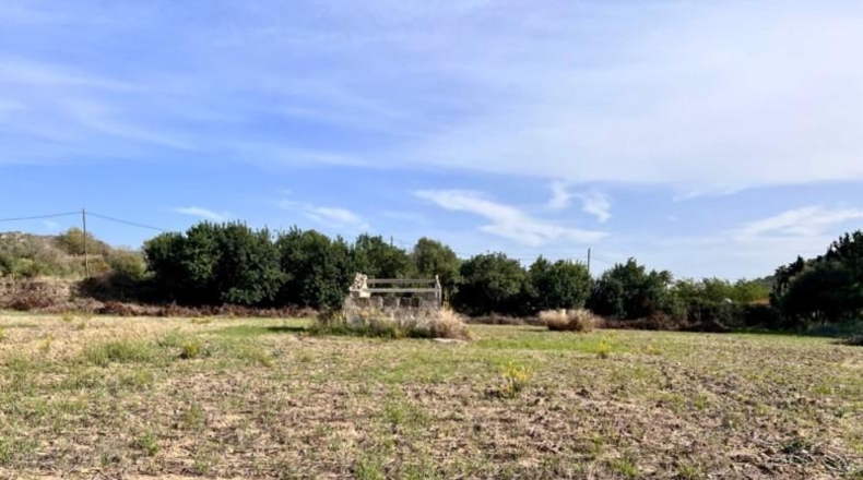 Islas Baleares - Alcudia - 12951m2
