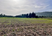 Отдельно стоящий дом с участком на продажу в городе Alcúdia Фото