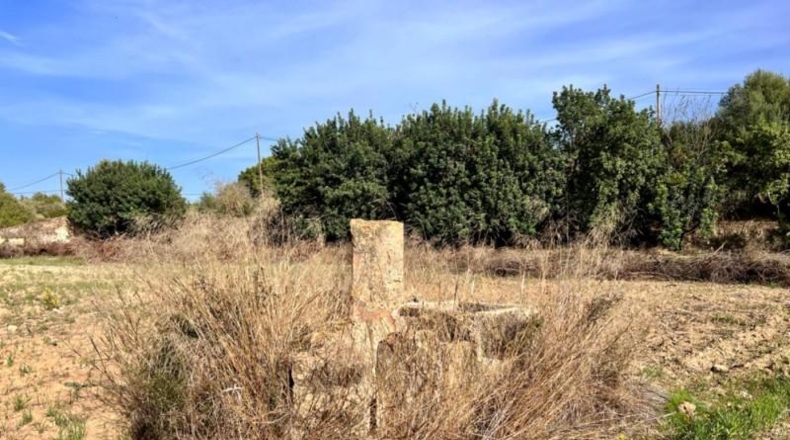 Islas Baleares - Alcudia - 12951m2