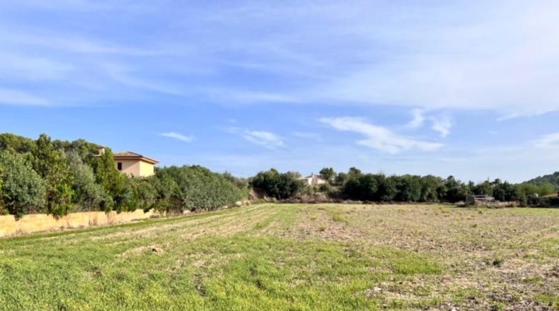 Islas Baleares - Alcudia - 12951m2