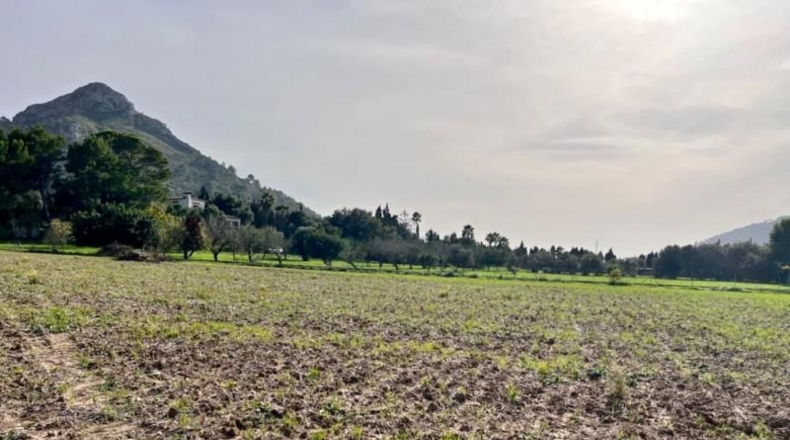 Islas Baleares - Alcudia - 12951m2