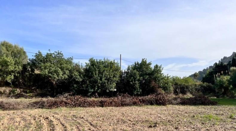 Islas Baleares - Alcudia - 12951m2
