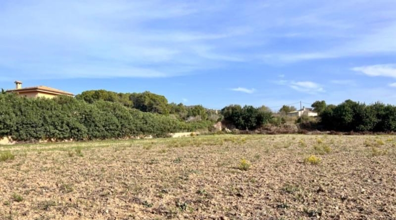 Islas Baleares - Alcudia - 12951m2