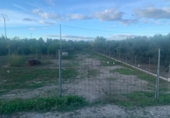 Parcel·la urbanitzable en venda a la España, Múrcia, ref.: TR119239 foto