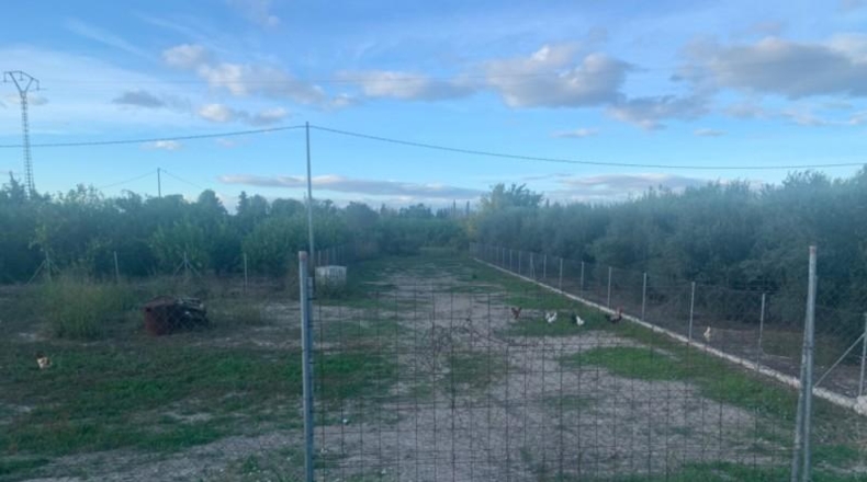 Múrcia - Murcia - 1598m2