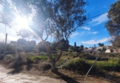 Земля на продажу у города Vilanova i la Geltrú Фото