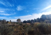 Земля на продажу у города Vilanova i la Geltrú Фото