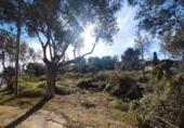 Земля на продажу у города Vilanova i la Geltrú Фото