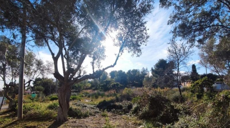 Barcelona - Vilanova i la Geltrú - 2200m2