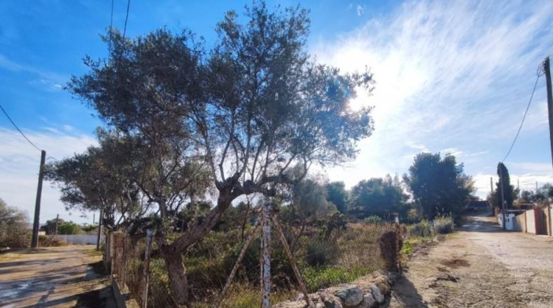 Barcelona - Vilanova i la Geltrú - 2200m2