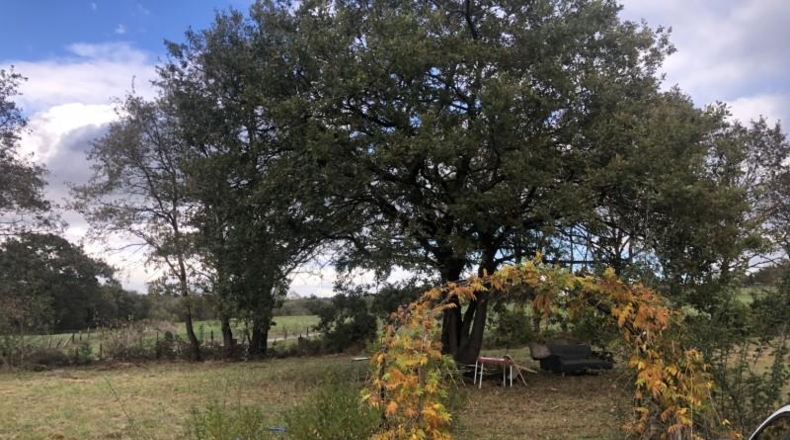 Asturias - Castiello (Lugo) - 12000m2