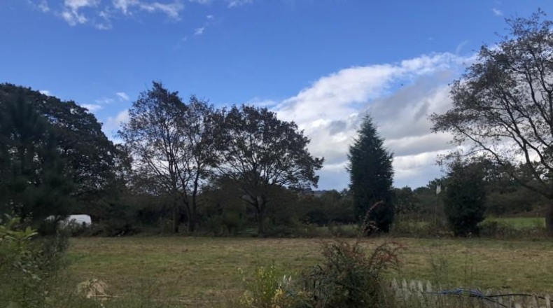 Asturias - Castiello (Lugo) - 12000m2