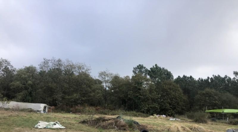 Asturias - Castiello (Lugo) - 12000m2