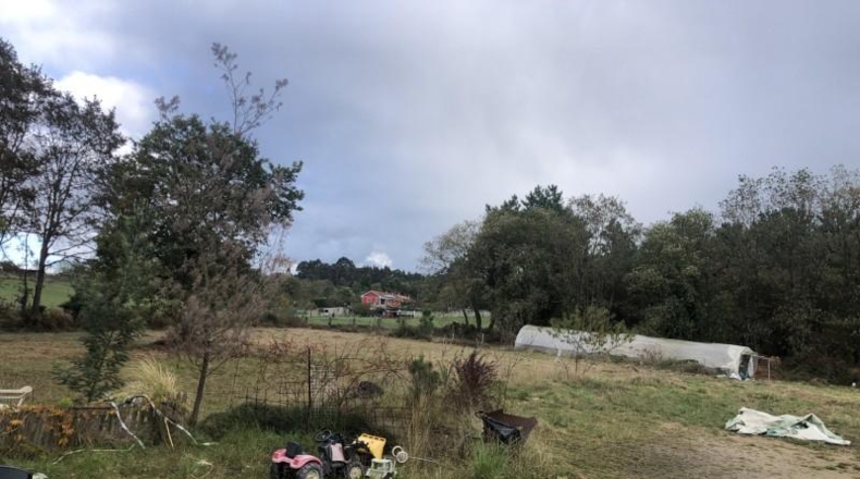 Asturias - Castiello (Lugo) - 12000m2