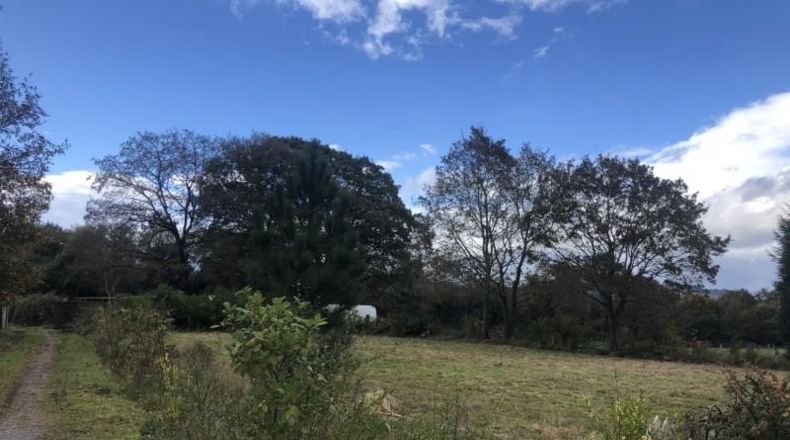 Asturias - Castiello (Lugo) - 12000m2