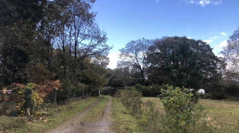Asturias - Castiello (Lugo) - 12000m2