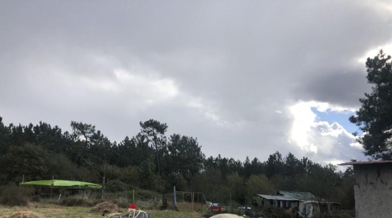 Asturias - Castiello (Lugo) - 12000m2