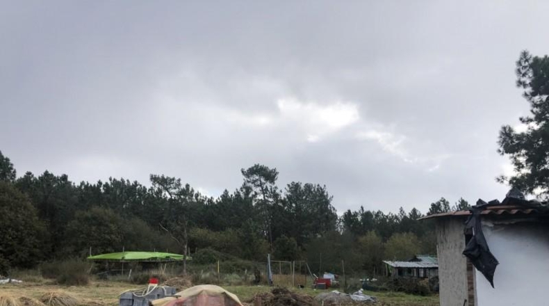 Asturias - Castiello (Lugo) - 12000m2