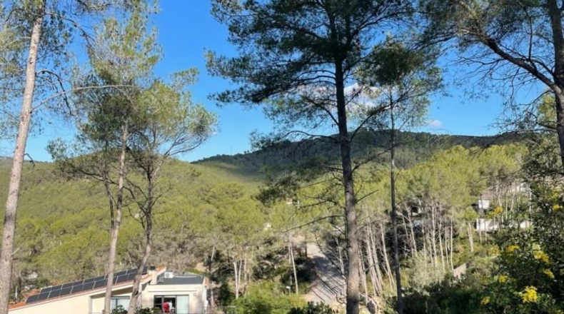 Barcelona - Olivella - 1200m2
