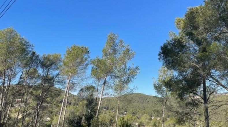 Barcelona - Olivella - 1200m2