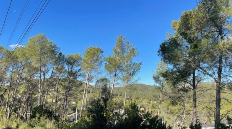 Barcelona - Olivella - 1200m2