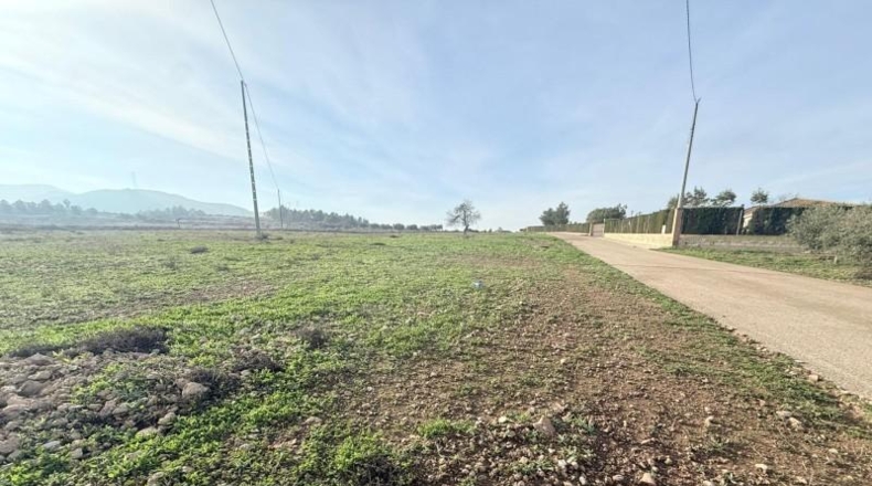 Murcia - Lorca - 11000m2