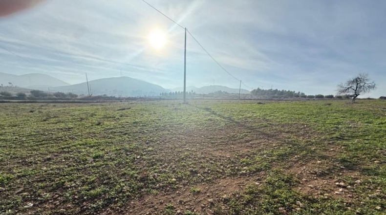 Murcia - Lorca - 11000m2