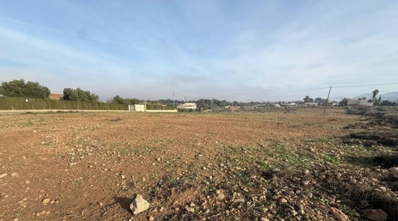 Murcia - Lorca - 11000m2