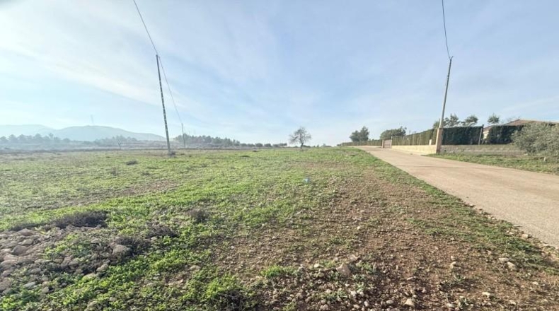 Murcia - Lorca - 11000m2