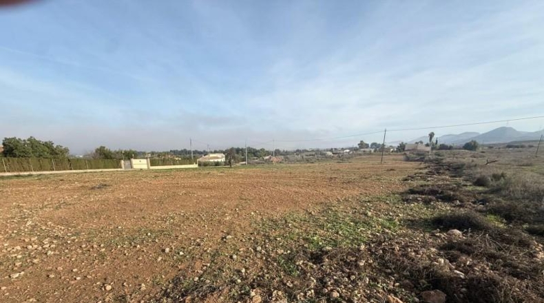 Murcia - Lorca - 11000m2