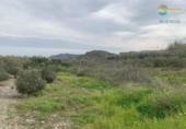 Non-developable land for sale on España, Cartagena, ref: TR368618 photo