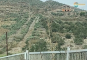 Non-developable land for sale on España, Cartagena, ref: TR368618 photo