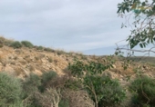 Non-developable land for sale on España, Cartagena, ref: TR368618 photo