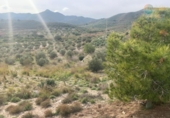 Non-developable land for sale on España, Cartagena, ref: TR368618 photo