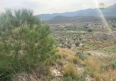 Non-developable land for sale on España, Cartagena, ref: TR368618 photo