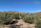 Non-developable land for sale on España, Cartagena, ref: TR368618 photo