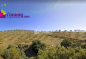 Terreny no urbanitzable en venda a la España, Huércal-Overa, ref.: TR380842 foto