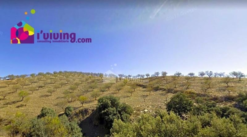Almería - Huércal-Overa - 165000m2