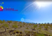 Terreny no urbanitzable en venda a la España, Huércal-Overa, ref.: TR380842 foto
