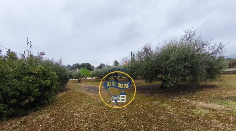 Valencia - Onteniente - 1539m2